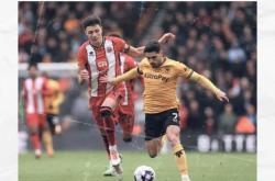 开云体育-哥伦比亚前锋破门，协助狼队主场取胜