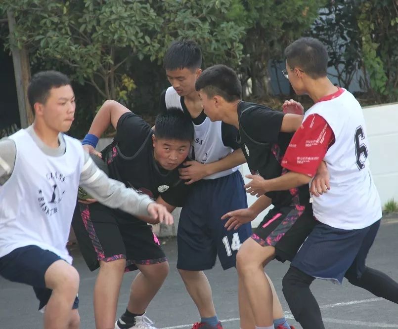 球队团结合作在比赛中赢得尊重 球队团结合作在比赛中赢得尊重