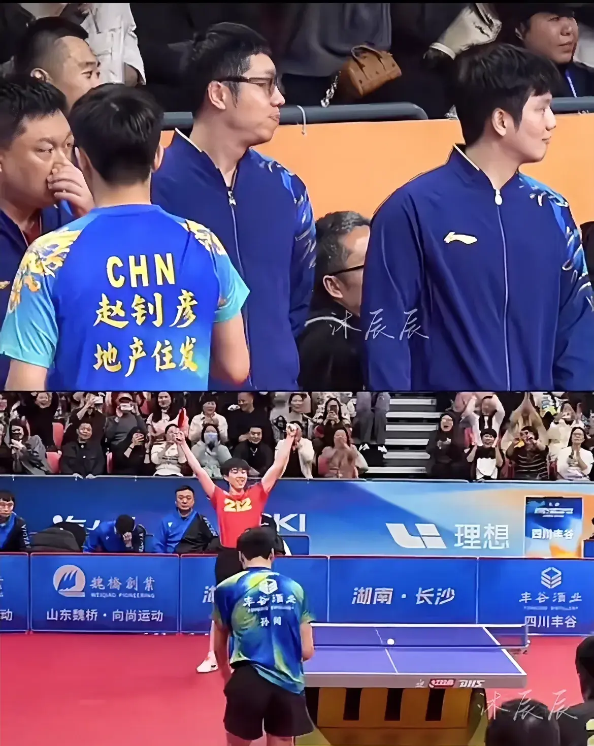 奥地利队碾压日本队,许昕扛起全队 奥地利队碾压日本队,许昕扛起全队